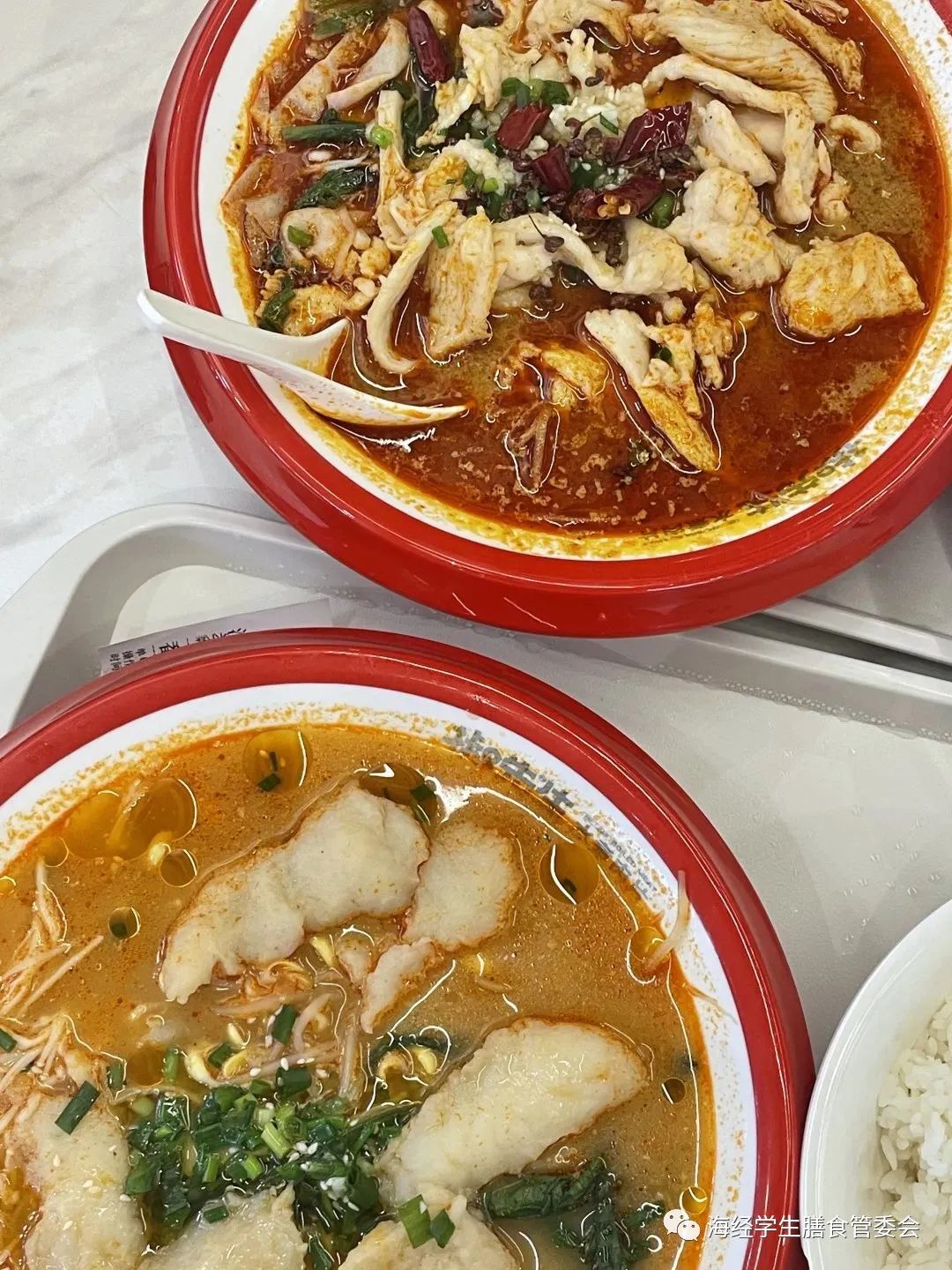 “最受学生接待食堂窗口”之东苑食堂站_w88优德丨食堂团餐丨食堂承包丨学校食堂承包丨重庆食堂承包丨